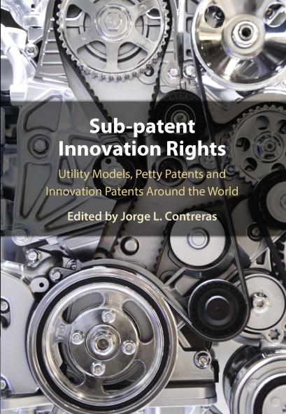 Sub-Patent Innovation Rights