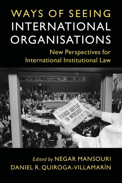 Ways of Seeing International Organisations