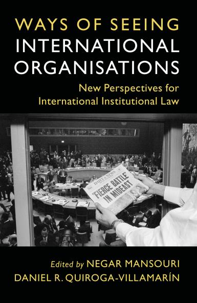 Ways of Seeing International Organisations