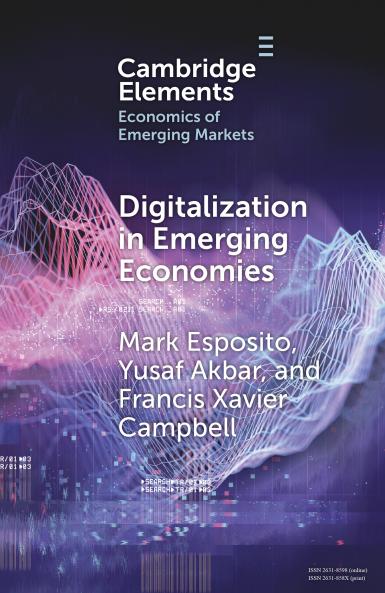 Digitalization in Emerging Economies
