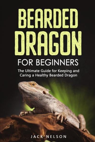 Bearded Dragon For Beginners