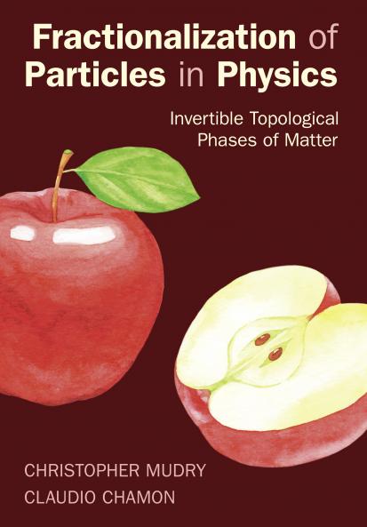 Fractionalization of Particles in Physics