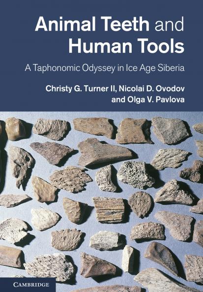 Animal Teeth and Human Tools