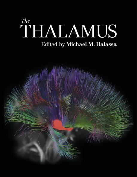 The Thalamus