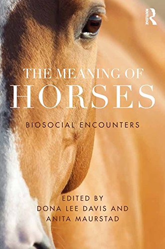 Meaning of Horses