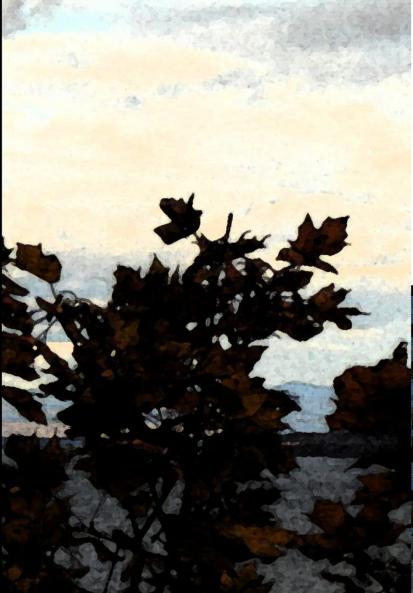 Deep Apple Pie Language and the Law in Canada