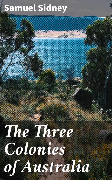 Three Colonies of Australia New South Wales Victoria South Australia: Their Pastures Copper Mines and Gold Fields (Classic Reprint)