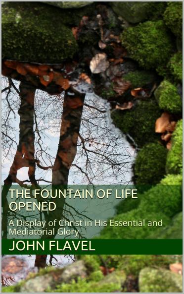 Fountain of Life: Or a Display of Christ in His Essential and Mediatorial Glory (Classic Reprint)