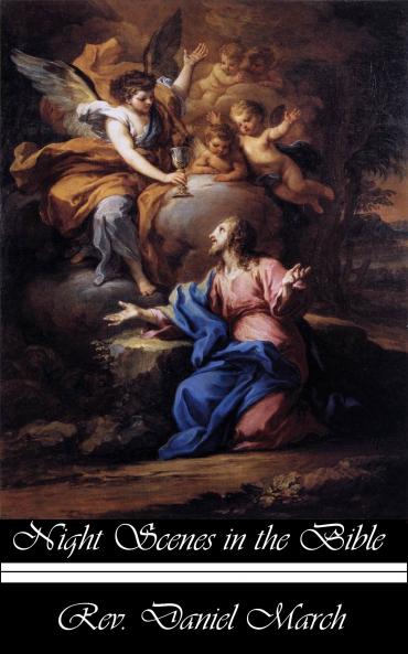Night Scenes in the Bible (Classic Reprint)