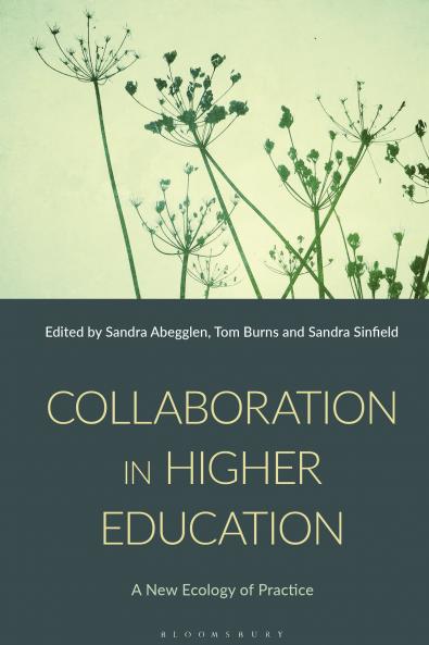 Collaboration in Higher Education