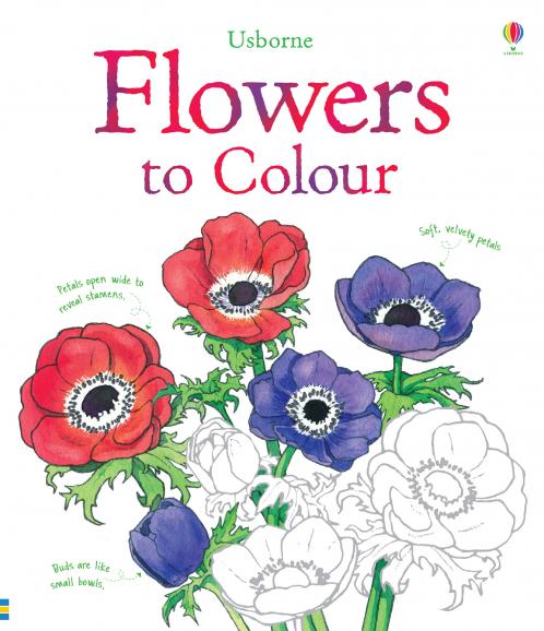 FLOWERS TO COLOUR