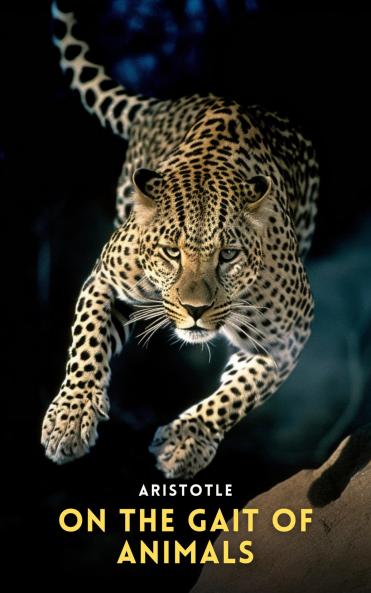 On The Gait Of Animals