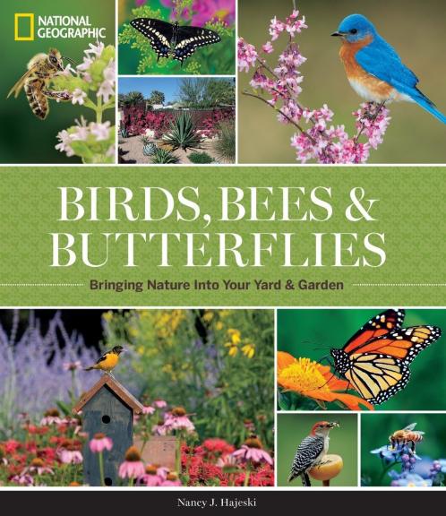 NATIONAL GEOGRAPHIC BIRDS BEES AND BUTTERFLIES