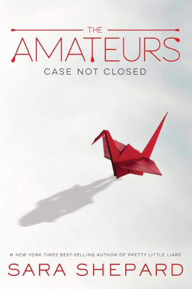 THE AMATEURS: BOOK 1