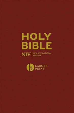 NIV LARGER PRINT BURGUNDY HARDBACK BIBLE