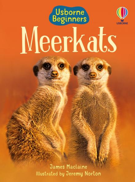 BEG MEERKATS