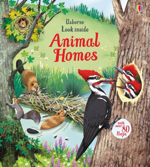 Look Inside: Animal Homes