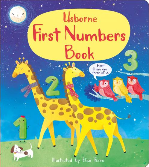 FIRST NUMBERS BOOK