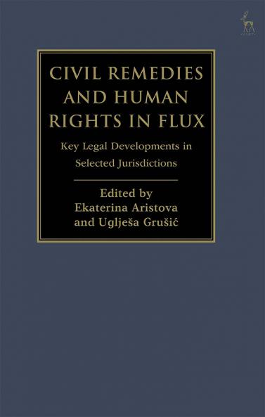 Civil Remedies and Human Rights in Flux