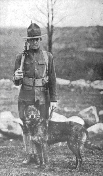 Scout Red Cross and Army Dogs: A Historical Sketch of Dogs in the Great War and a Training Guide for the Rank and File of the United States Army (Classic Reprint)