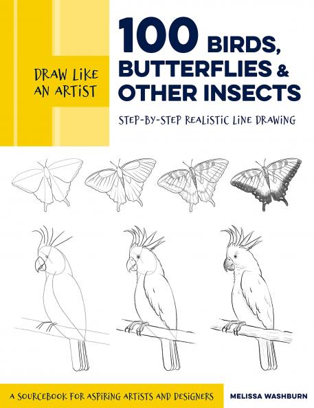 DRAW LIKE AN ARTIST: 100 BIRDS BUTTERFLIES AND OTHER INSEC