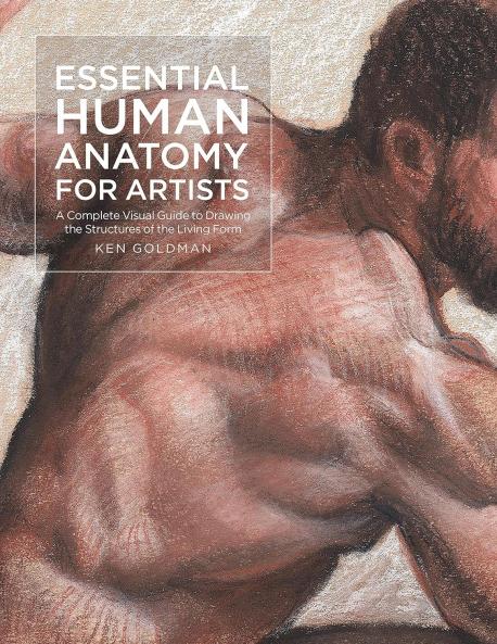 ESSENTIAL HUMAN ANATOMY FOR ARTISTS