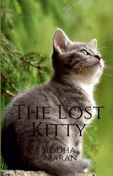 The Lost Kitty