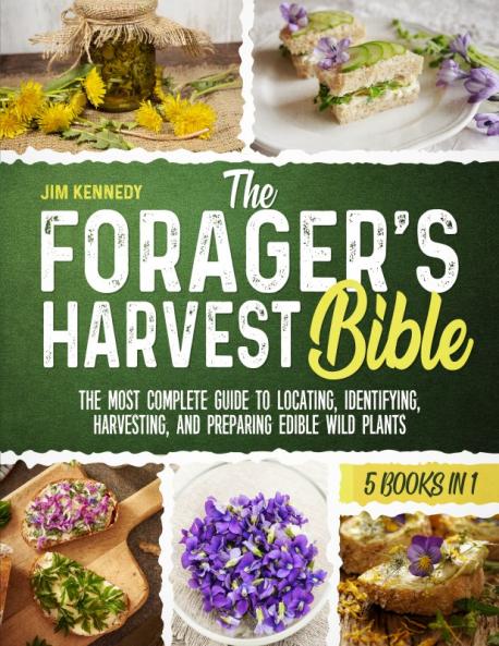 The Forager's Harvest Bible