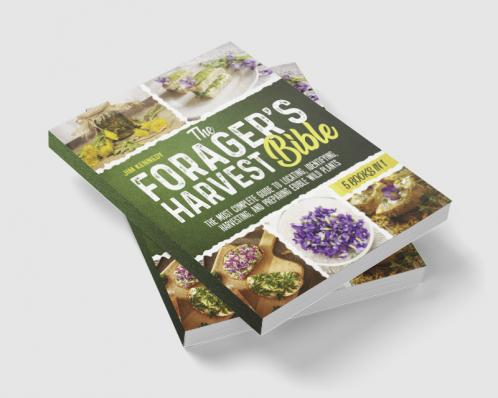 The Forager's Harvest Bible