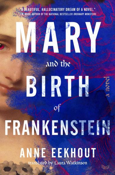 Mary: or the Birth of Frankenstein