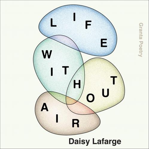 Life Without Air