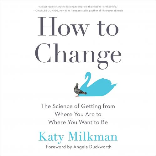 HOW TO CHANGE : THE SCIENCE OF GETTING FROM WHERE YOU ARE TO WHERE YOU WANT TO BE