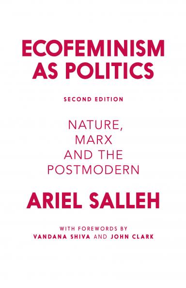 Ecofeminism as Politics