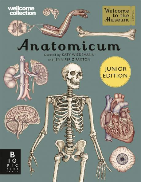 Anatomicum Junior Welcome To The Museum