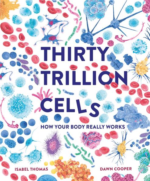 THIRTY TRILLION CELLS