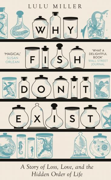 Why Fish Don't Exist: A Story of Finding Our Way in a Chaotic World
