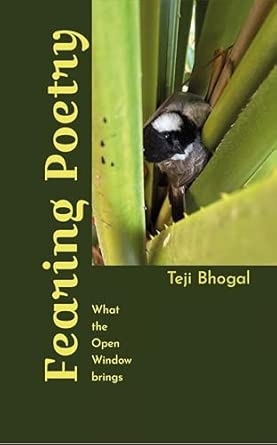 Fearing Poetry: What the Open Window brings