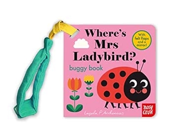 FELT FLAPS: LADYBIRD (BUGGY BOOK)