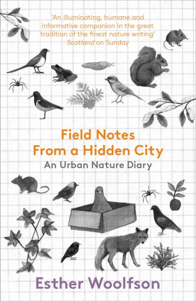 Field Notes from a Hidden City