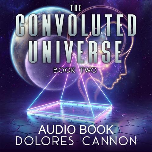 THE CONVOLUTED UNIVERSE:BOOK TWO(2)