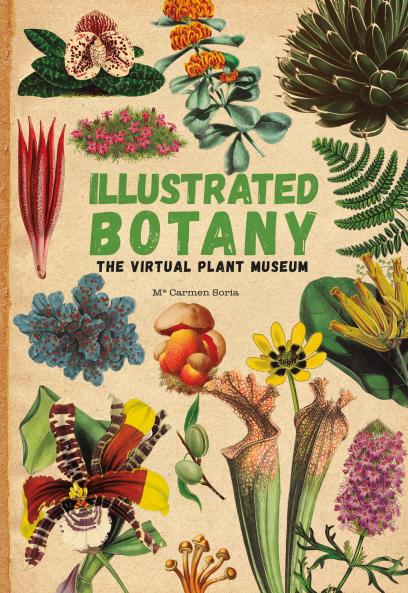 ILLUSTRATED BOTANY
