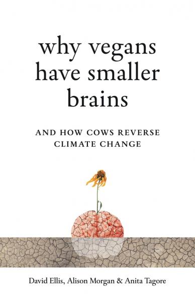 Why Vegans Have Smaller Brains