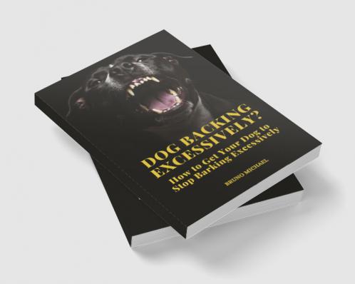 Dog Barking Excessively