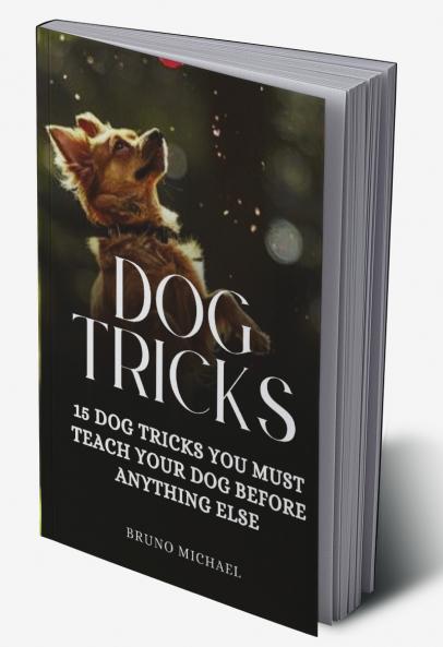 Dog Tricks