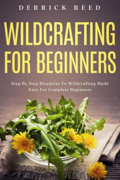 Wildcrafting For Beginners
