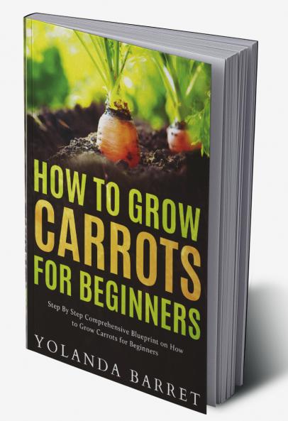 How to Grow Carrots for Beginners