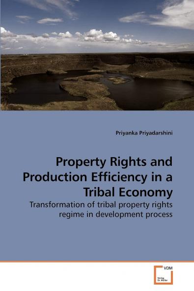 Property Rights and Production Efficiency             in a Tribal Economy