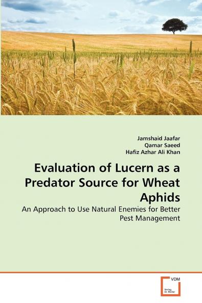 Evaluation of Lucern as a Predator Source for Wheat Aphids