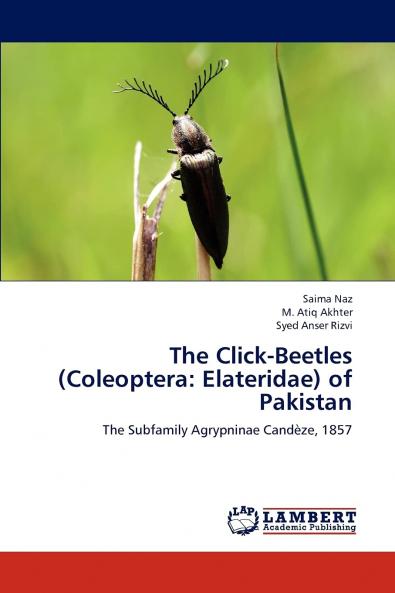 The Click-Beetles (Coleoptera