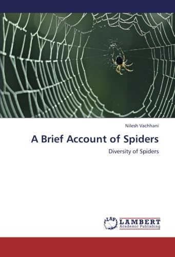 A Brief Account of Spiders